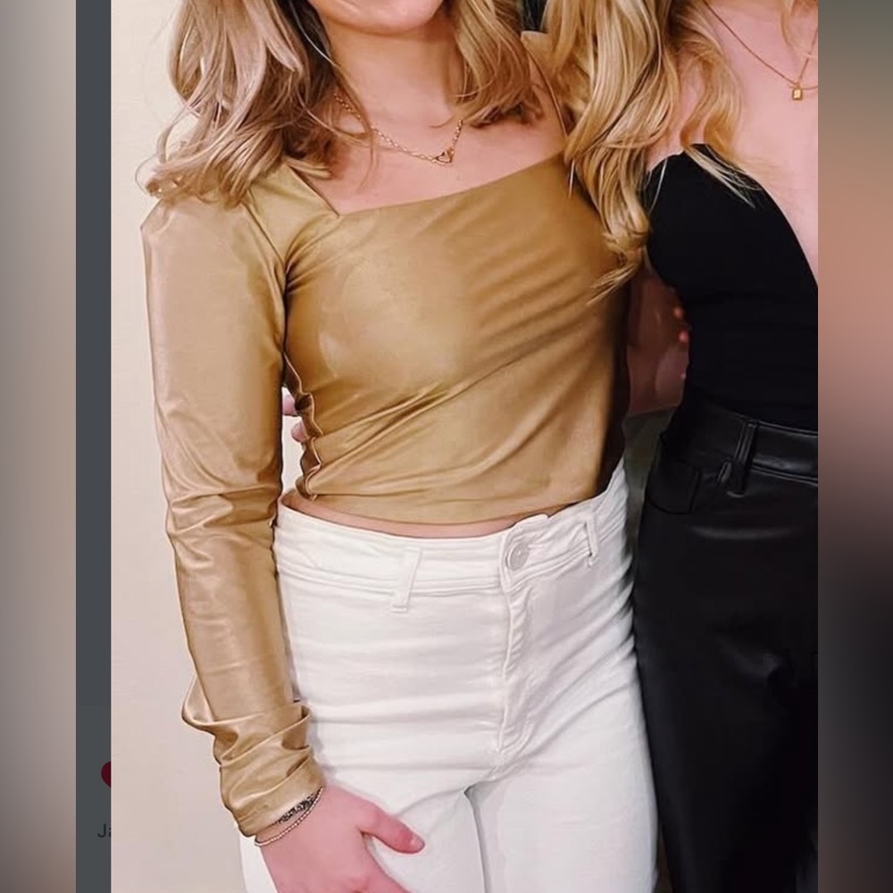 Aritzia Babaton Top
